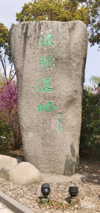 溱湖国家湿地公园图片