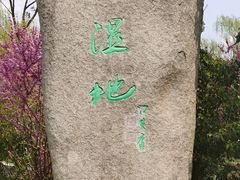 -溱湖国家湿地公园