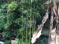 -三峡古玩城(泰古广场店)