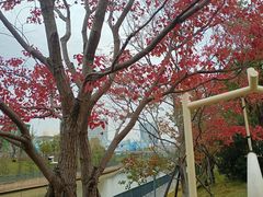 -华谊兄弟（长沙）电影小镇