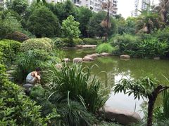 -新湖明珠城