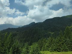 -芦芽山旅游度假区