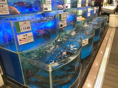 -AEON永旺(东方宝泰店)