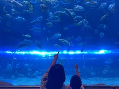 -华夏文旅海洋公园