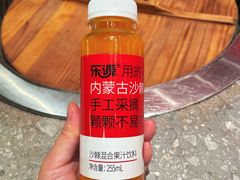 -二胖家铁锅炖大鹅(双井店)