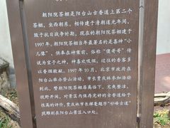 -阳台山自然风景区