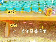 -怪兽炸鸡.轻沙拉(锦州店)