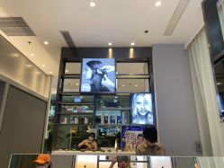 -Mr.JUDY洗个头发