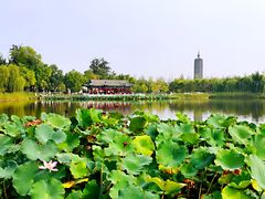 -西海子公园