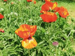 -国家植物园南园