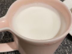 香草牛奶-猫里有甜