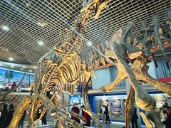 -国家自然博物馆