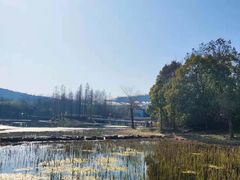 -长广溪湿地公园