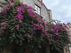 -新津老码头旅游小镇