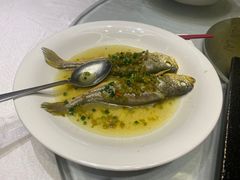 -骏莱海鲜鱼港(五角场店)