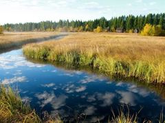 -塞罕坝国家级自然保护区