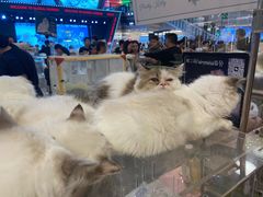 -江南环球港