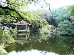 -叶家花园