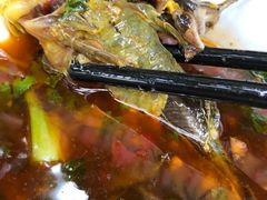 -金海椒罐罐鲢鱼(东方桂苑店)