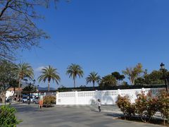 -米哈斯
