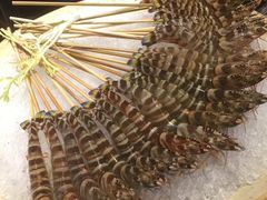 竹节虾-官也街澳门火锅(新源里店)