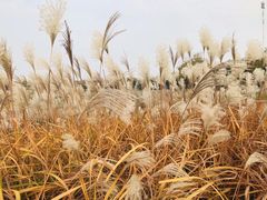 -江苏三台山国家森林公园