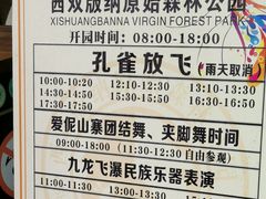-西双版纳原始森林公园
