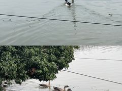 -英姐农家乐