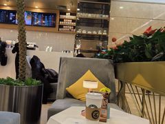 -逸派咖啡 EPARKCOFFEE(广安门店)