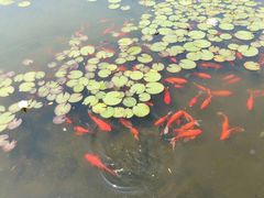 -白马涧龙池景区