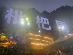 -枇杷园食为鲜火锅(南山店)