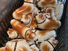 -J Create城市露营咖啡·简餐·宠物(上海动物园店)