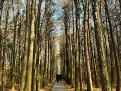 -同里国家湿地公园