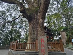 -安溪清水岩