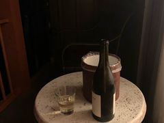 -奥兰多迪士尼动物王国乐园