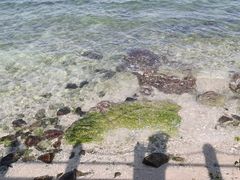 -三亚西岛海洋文化旅游区