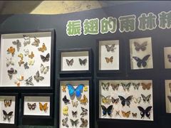 -MR.ZOO小小动物元室内动物园(沈阳沈河盛京中心)