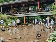 -重庆彩云湖湿地公园