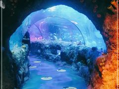 -沈阳海洋探索中心