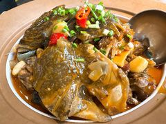 -洞庭家宴·头牌甲鱼(广渠门店)