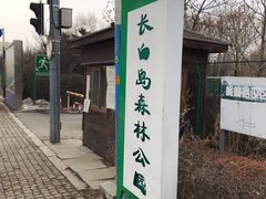 -长白岛森林公园