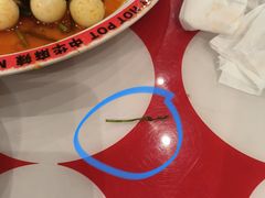 -文立新麻辣烫(合生汇21街区店)