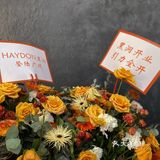 广州|🔥火爆全网的haydon黑洞进驻广州啦！