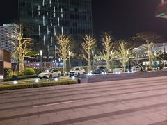 -深圳国际会展中心希尔顿酒店(前海华发冰雪世界店)
