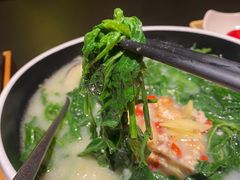 -羽鸽集·乳鸽专门店·地道顺德菜(岭南站店)