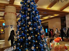 -长白山万达喜来登度假酒店