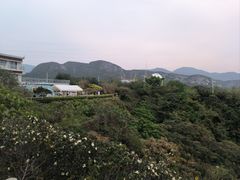 -西涌国际滨海旅游区