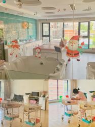 -安馨月子会所(旗舰店)