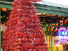 -霸王虾·麻辣小龙虾(清水河公园店)