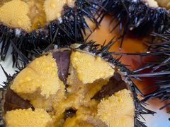 -海胆小馆(东北水饺·春柳店)